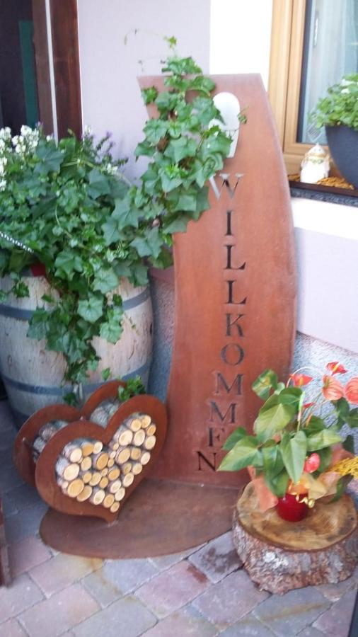 Apartment Hochkoenigblick Pilzegg امباخ المظهر الخارجي الصورة